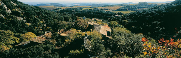 Domaine Du Causse Noir