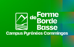 Ferme de Borde Basse