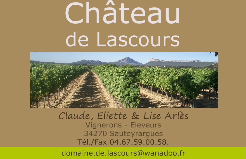 CHATEAU DE LASCOURS