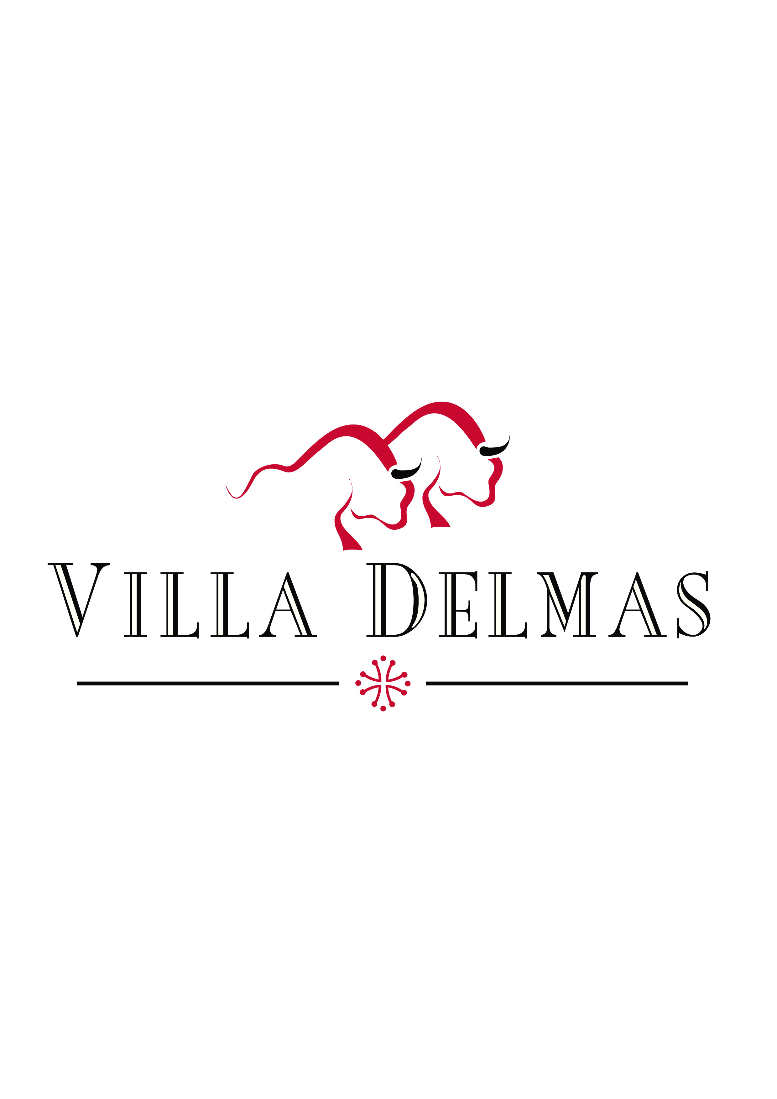 VILLA DELMAS