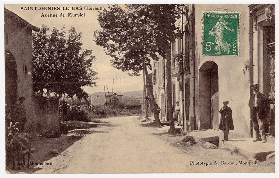 SCEA DOMAINE DE LA REYNARDIERE