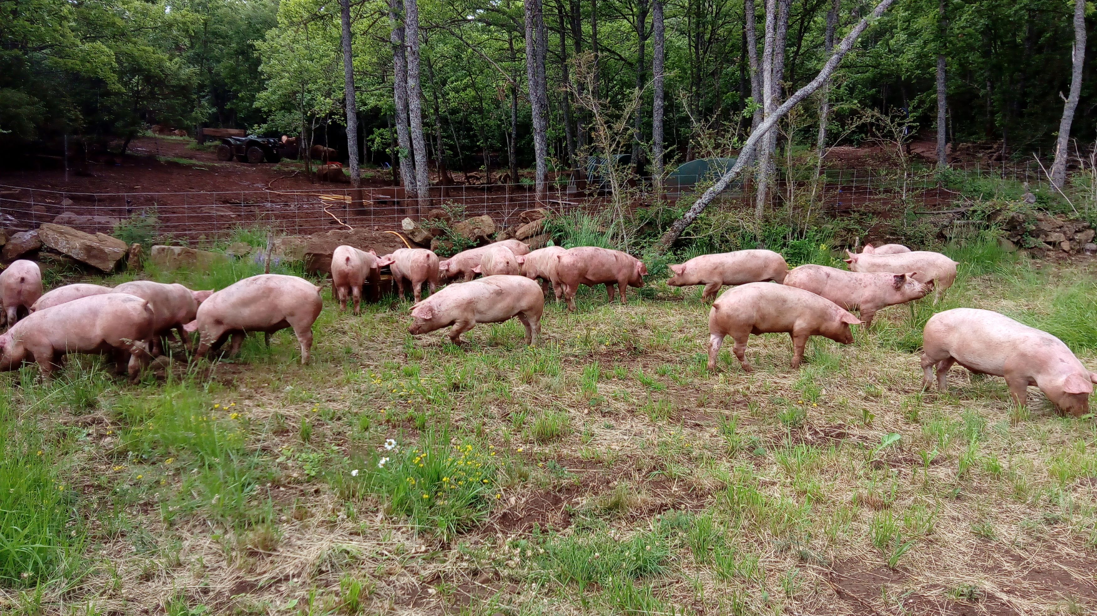 LA FERME DES COMBETTES