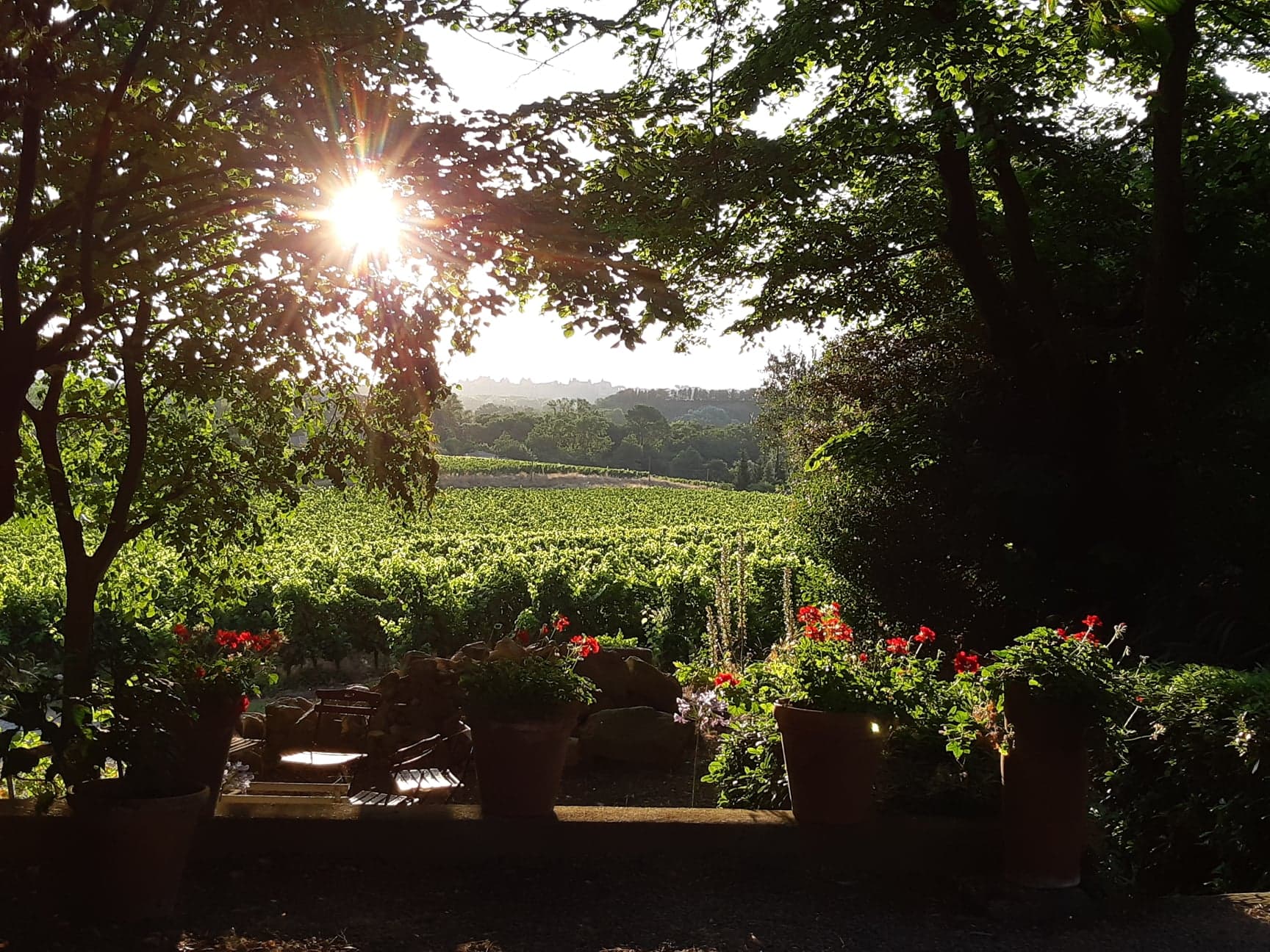 SAS DU DOMAINE DE LA SAPINIERE