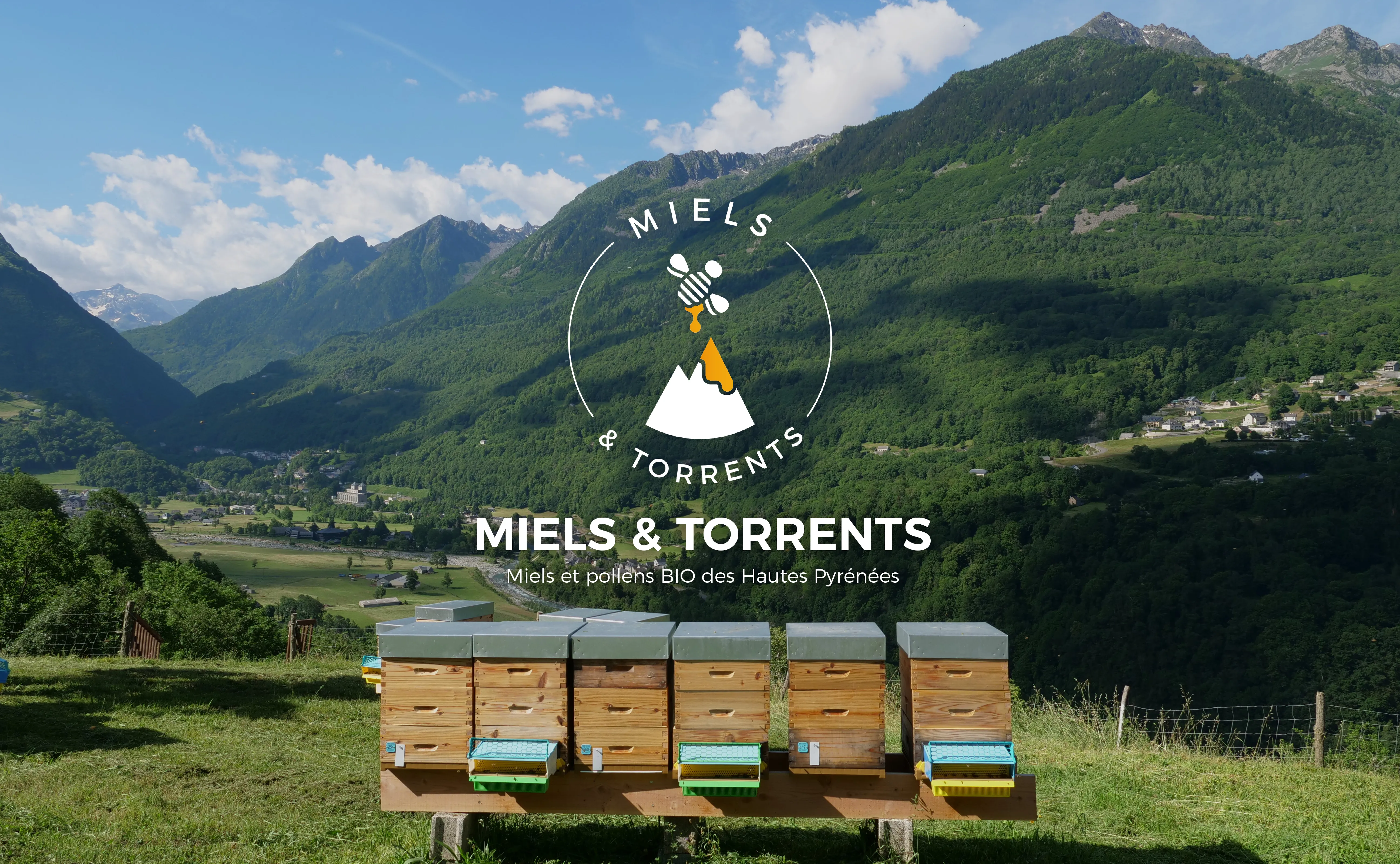 MALLEIN XAVIER THIERRY