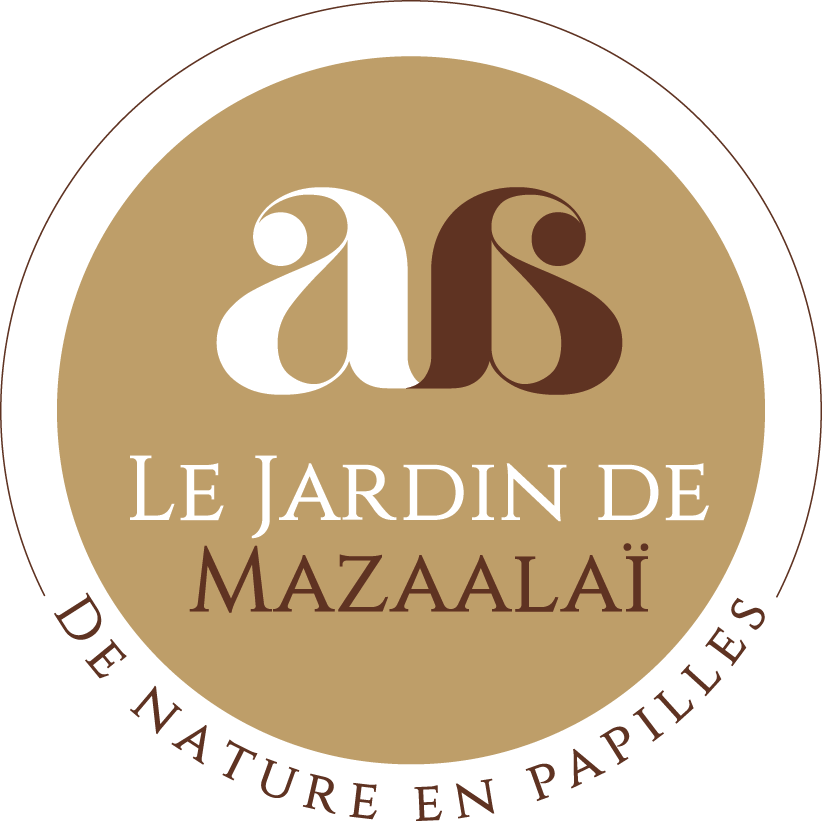 FRITZ CHRISTELE ALEXANDRA