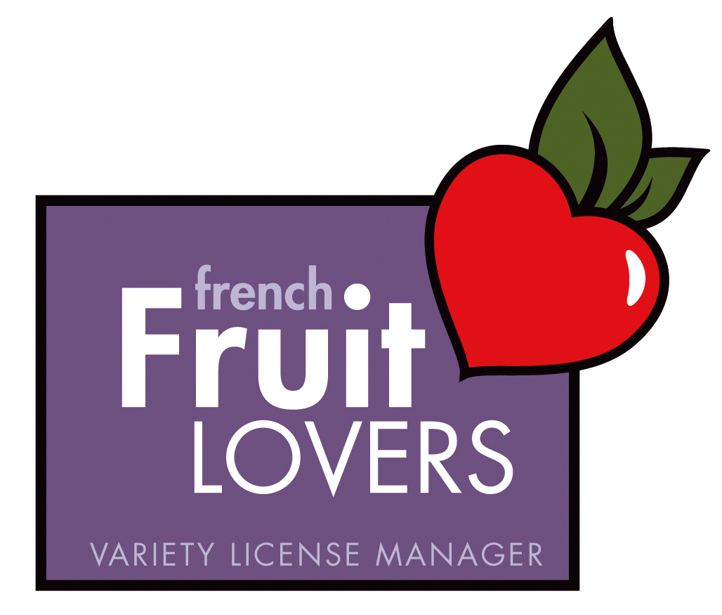 FRENCH FRUIT LOVERS