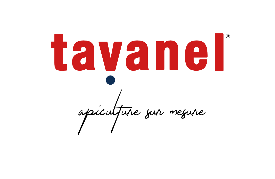 TAVANEL