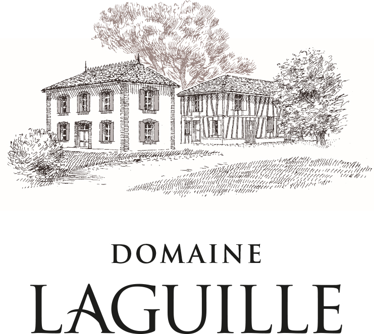 DOMAINE LAGUILLE
