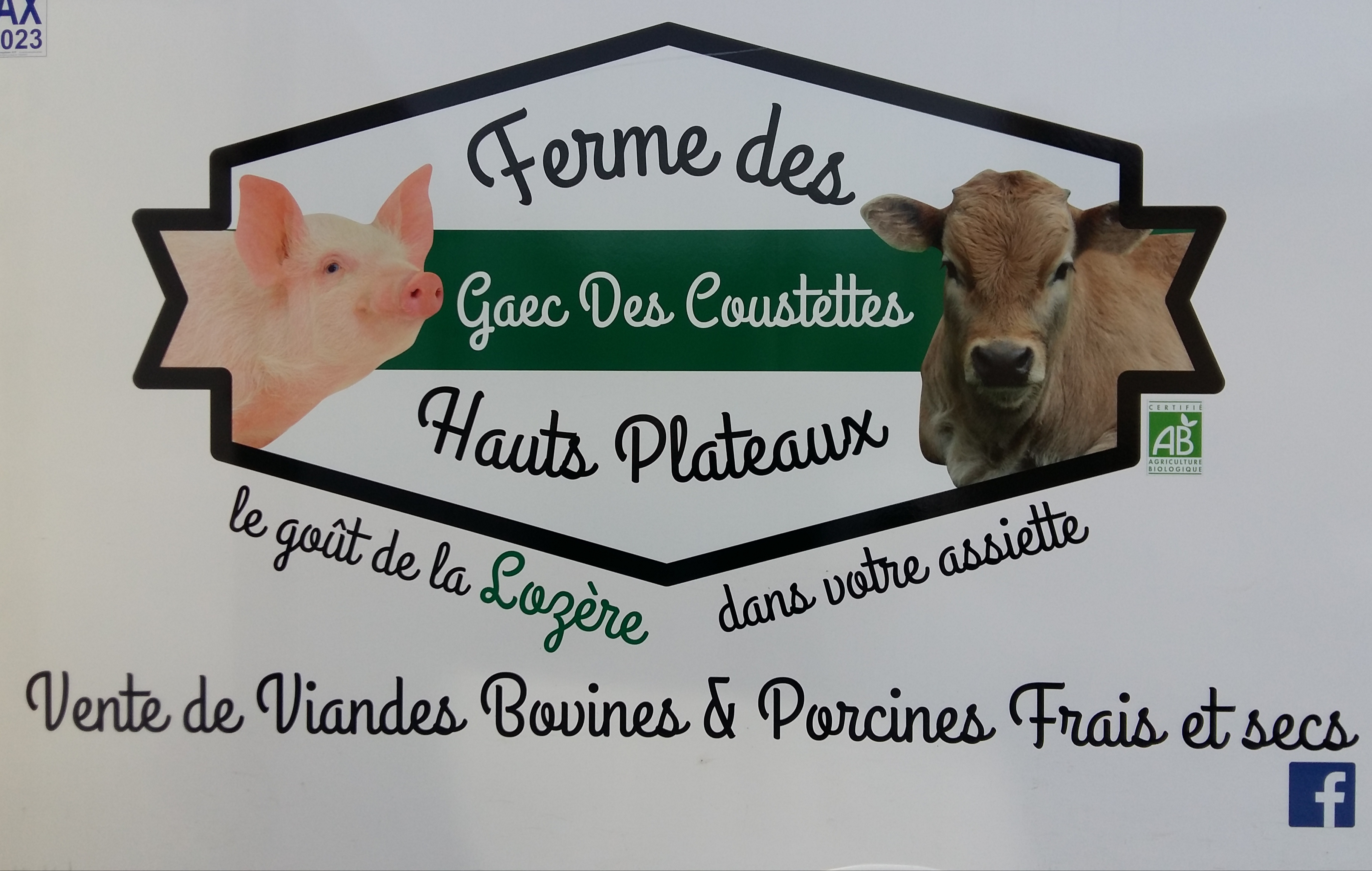 DES COUSTETTES