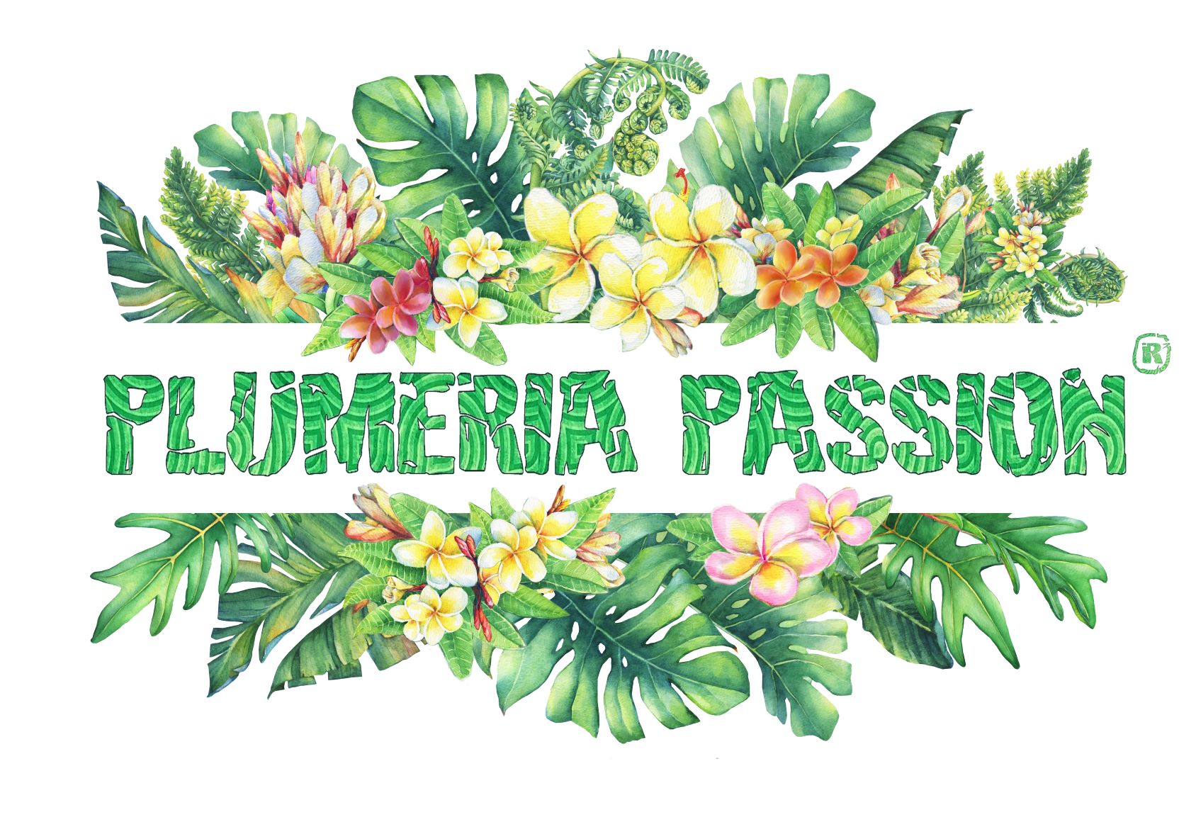 plumeria passion