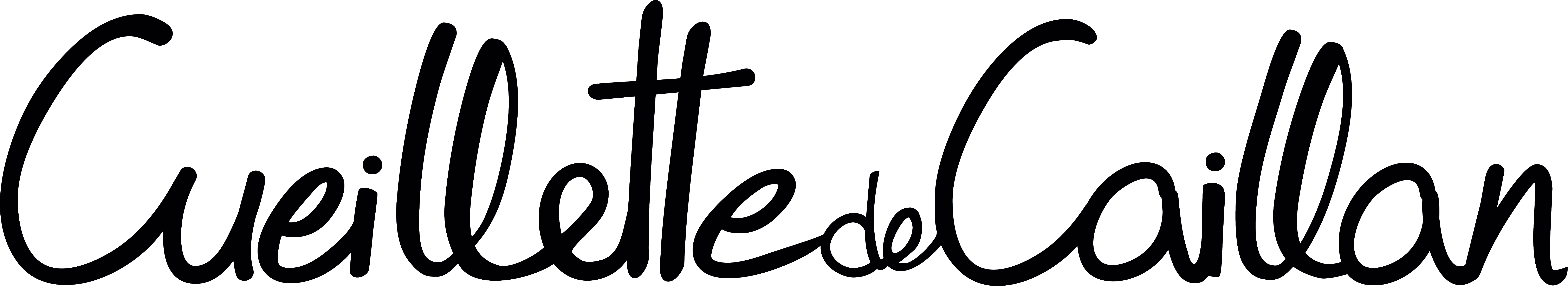 Cueillette de Caillan