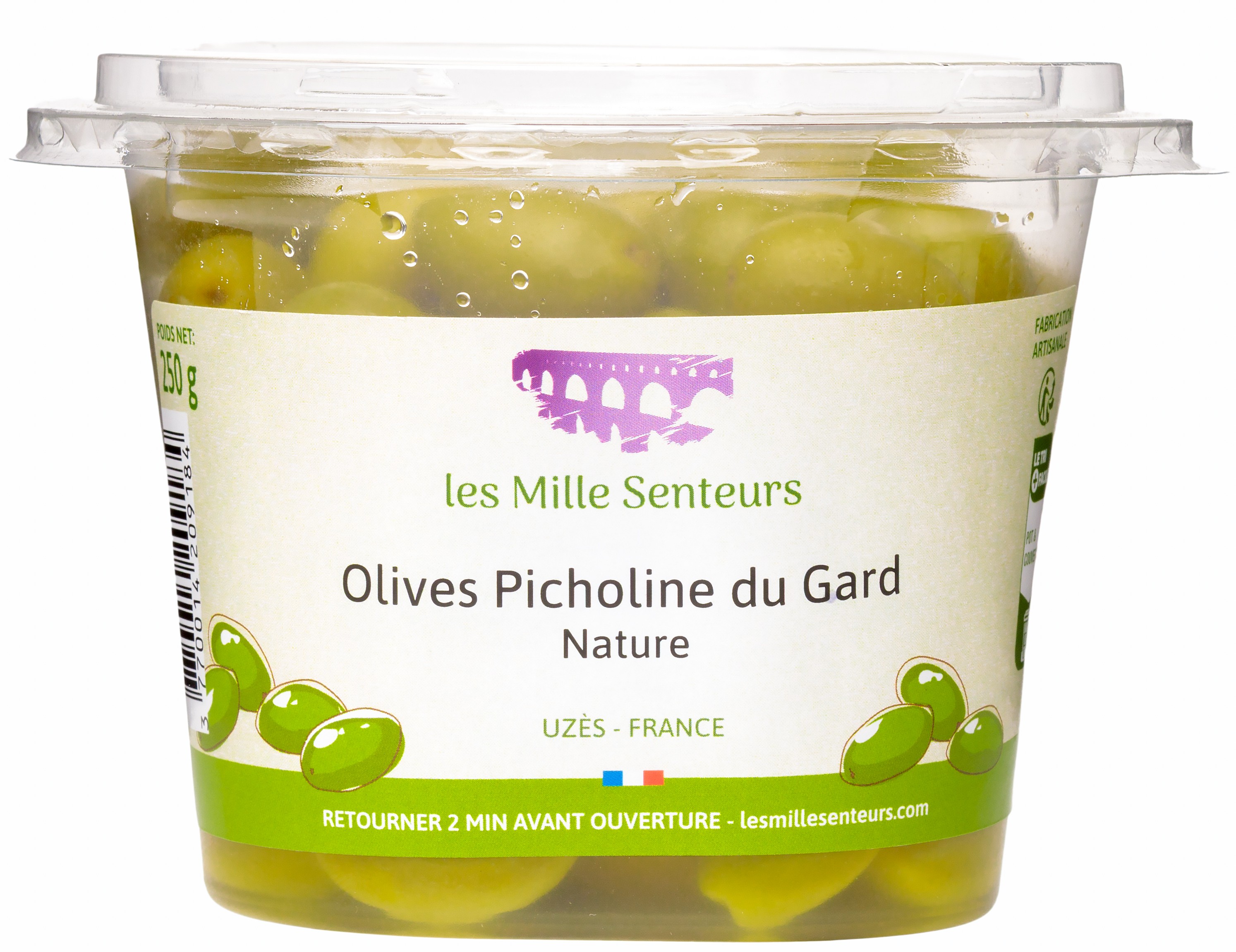Olive Picholine Nature