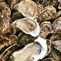 Huîtres Traditionnelles
