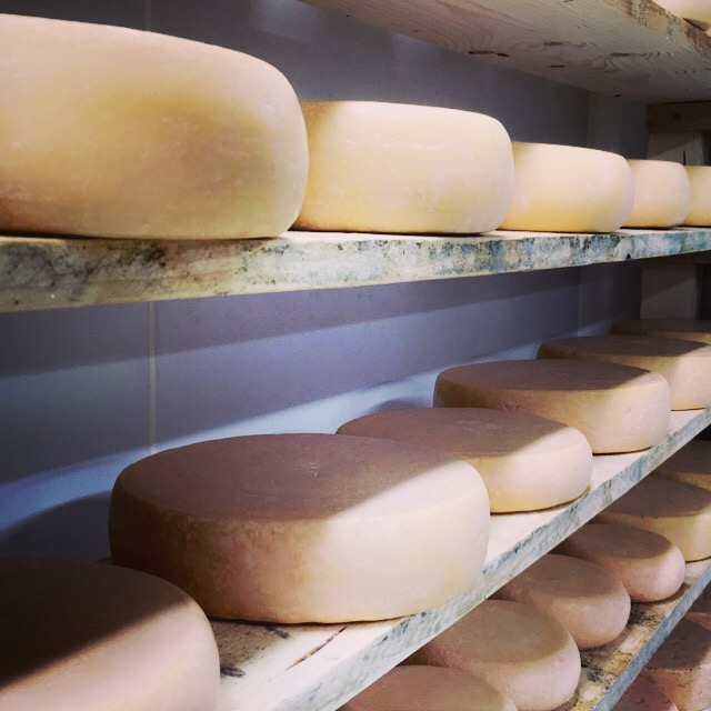 Tomme au lait cru de brebis