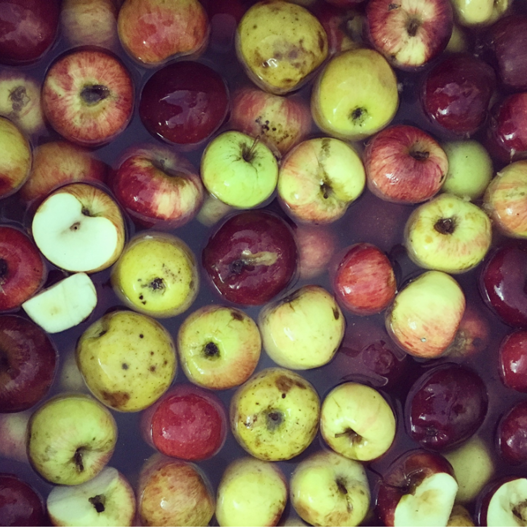 Compote de Pomme et Cannelle