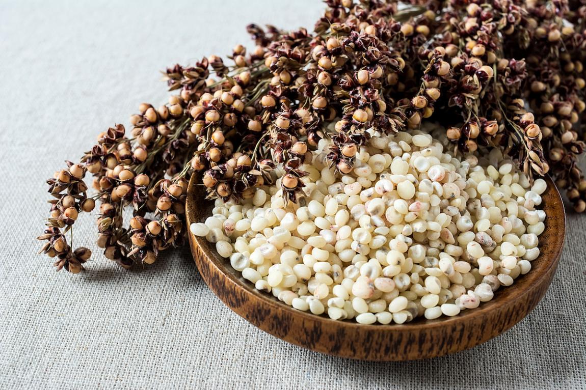 SORGHO GRAIN INTEGRAL