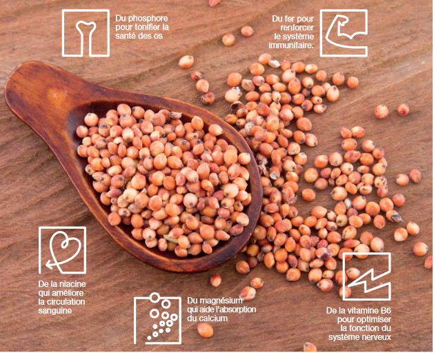 SORGHO FARINE INTEGRALE