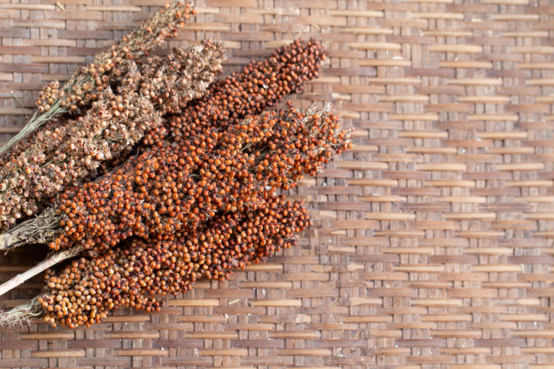 SORGHO FARINE INTEGRALE