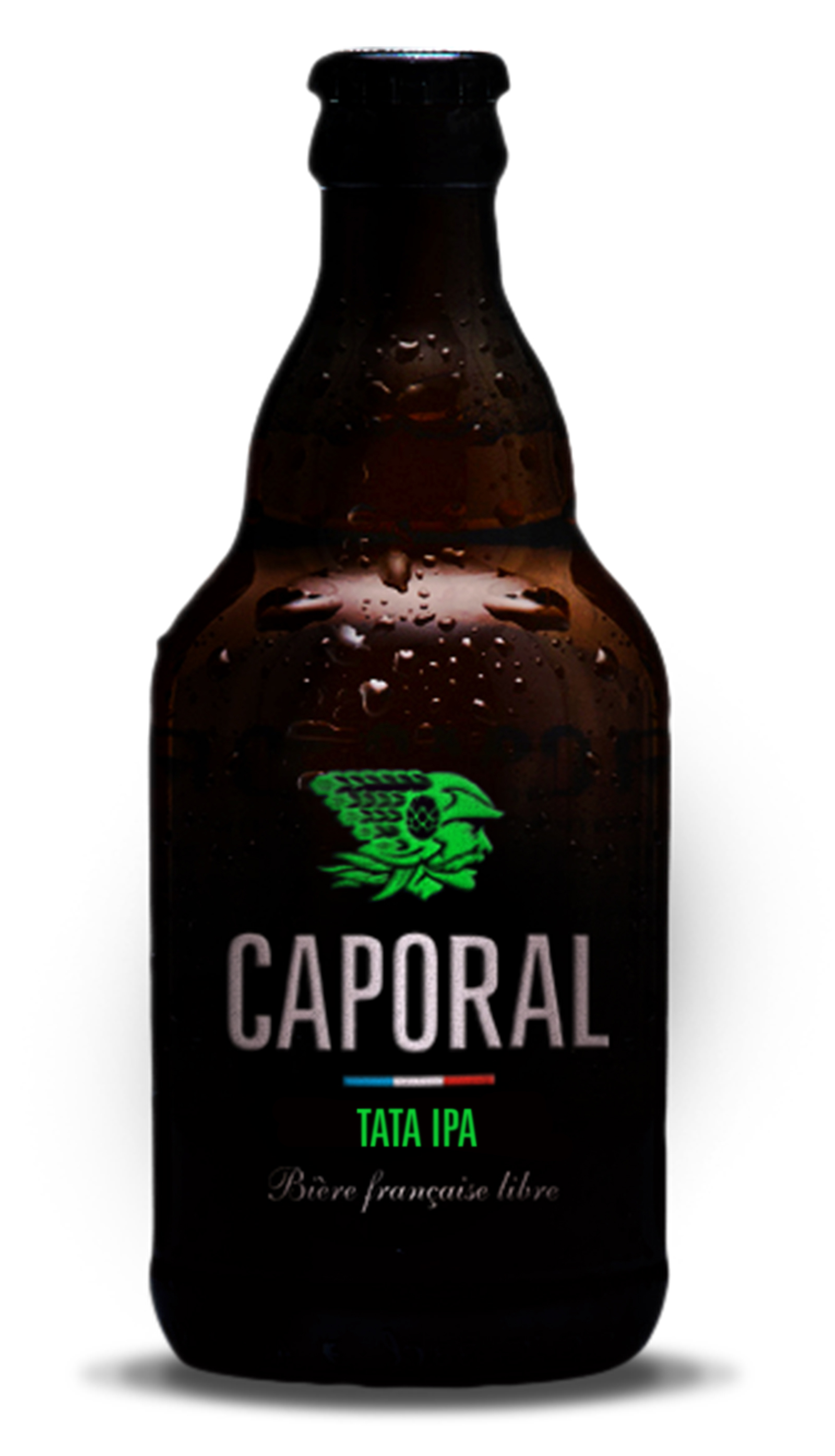 Tata IPA Bio 6% - 33cl