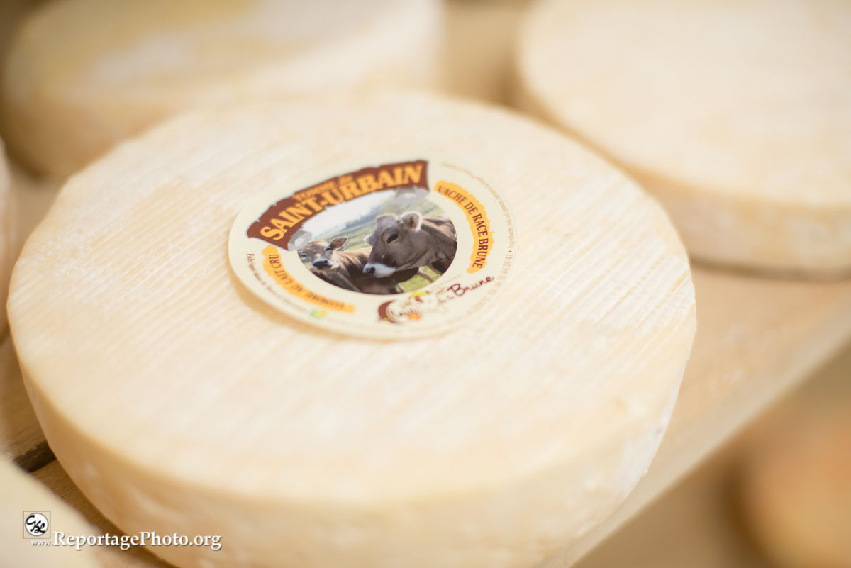 Tomme Saint-Urbain