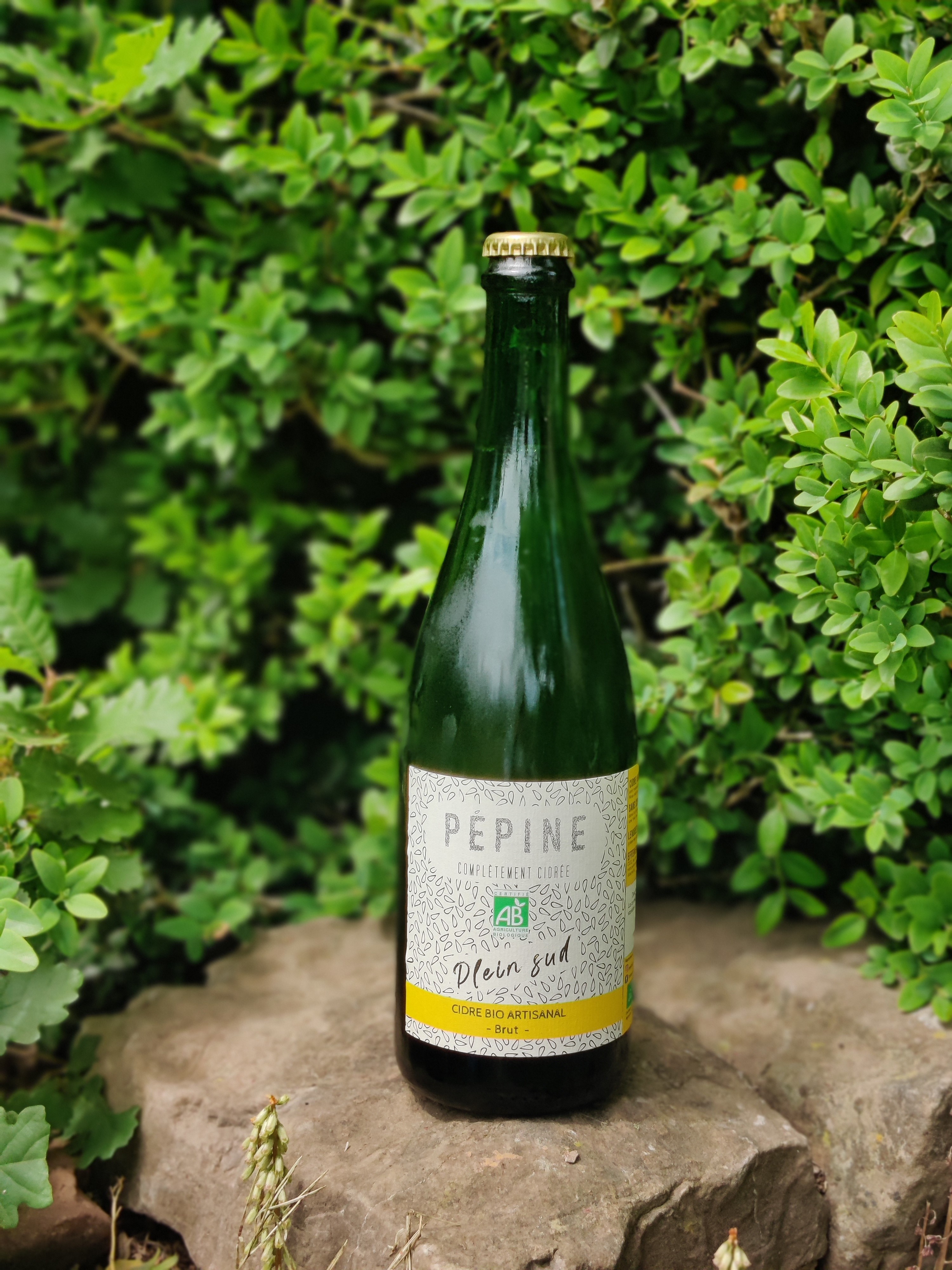 Plein Sud 2022 - Cidre brut artisanal bio