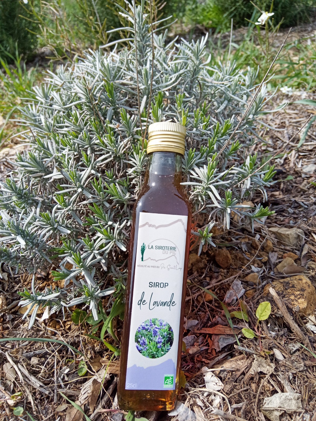 Sirop de Lavande