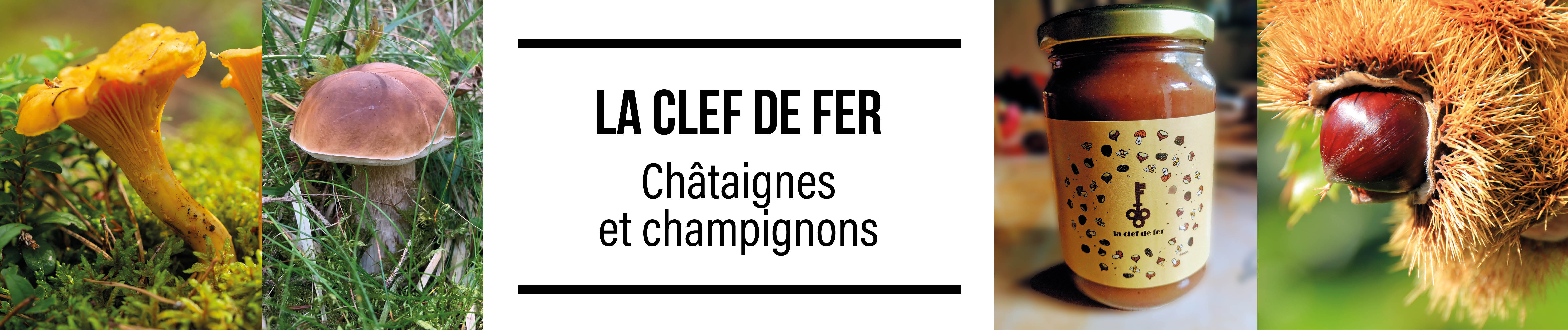 Schips de Pommes de Terre