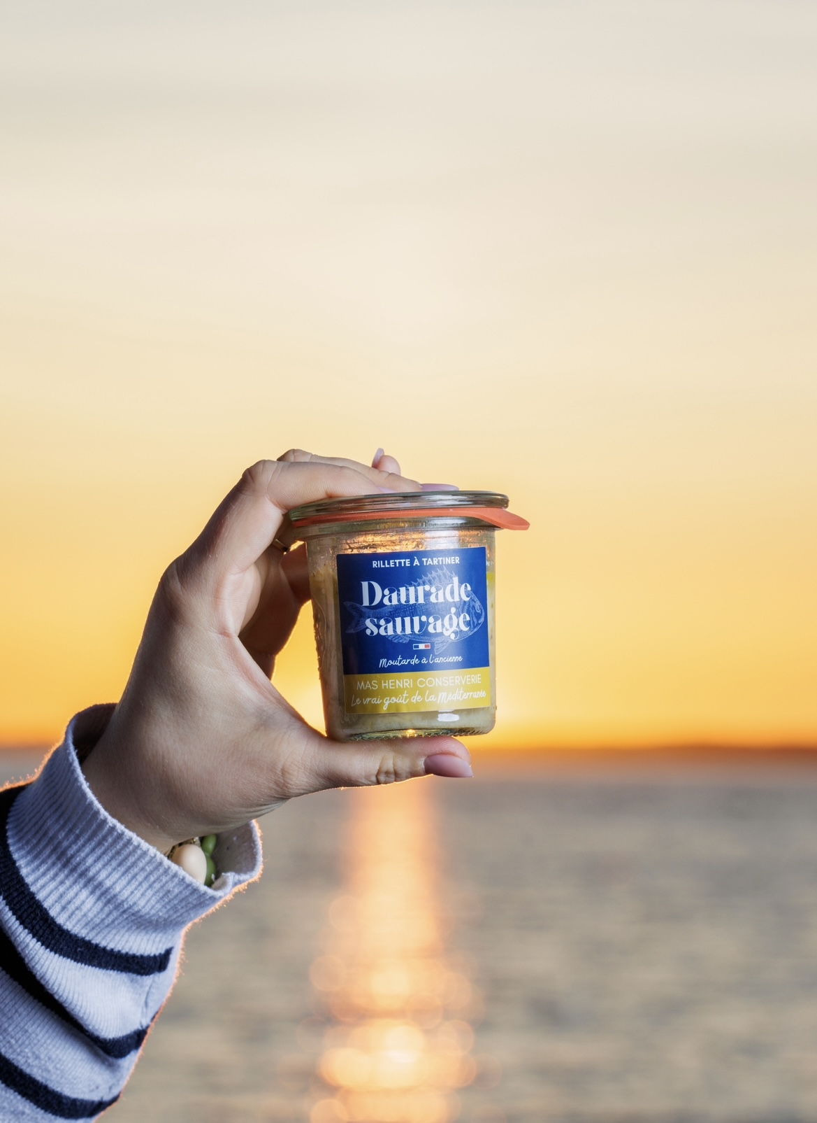 Rillette Daurade sauvage moutarde à l'ancienne