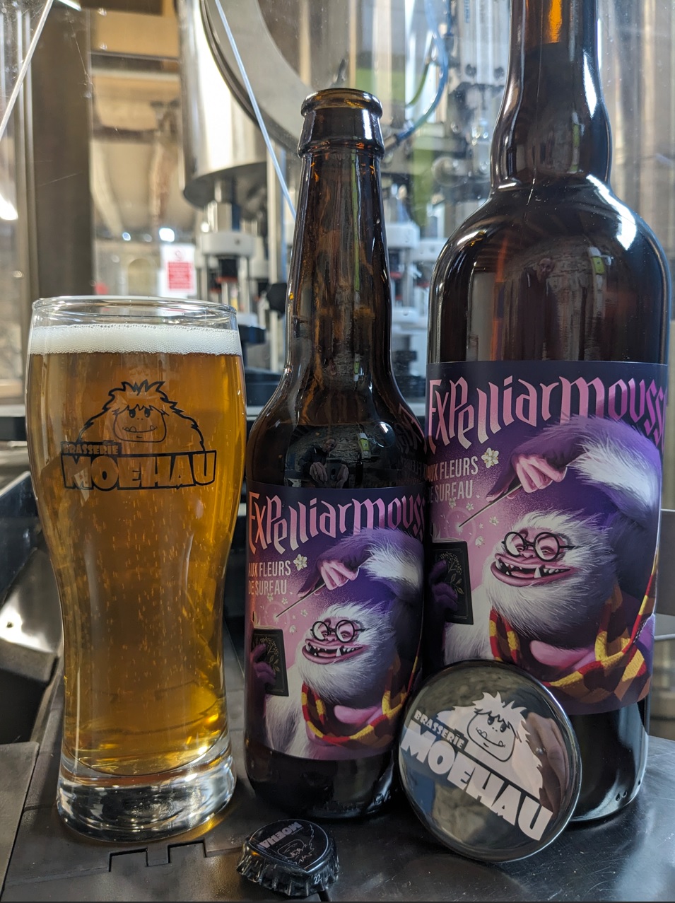 Bière blonde aux fleurs fraîches de sureau - 75cL