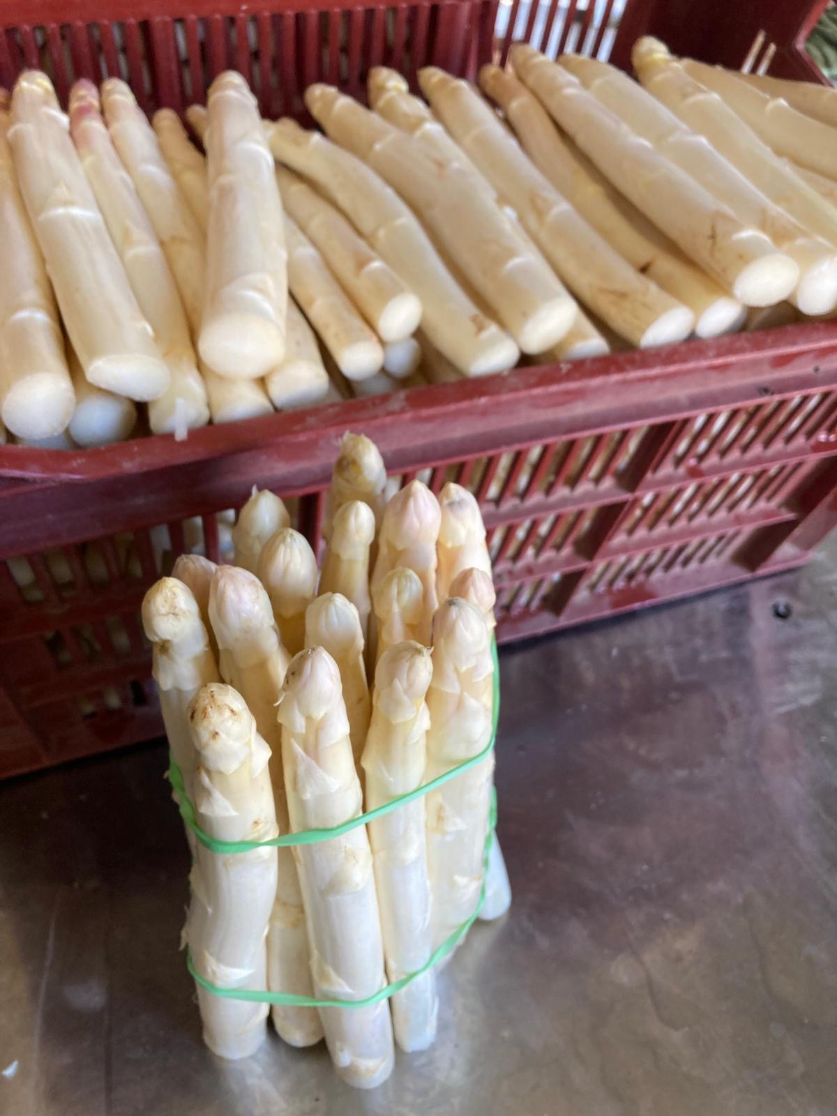 Asperges blanches
