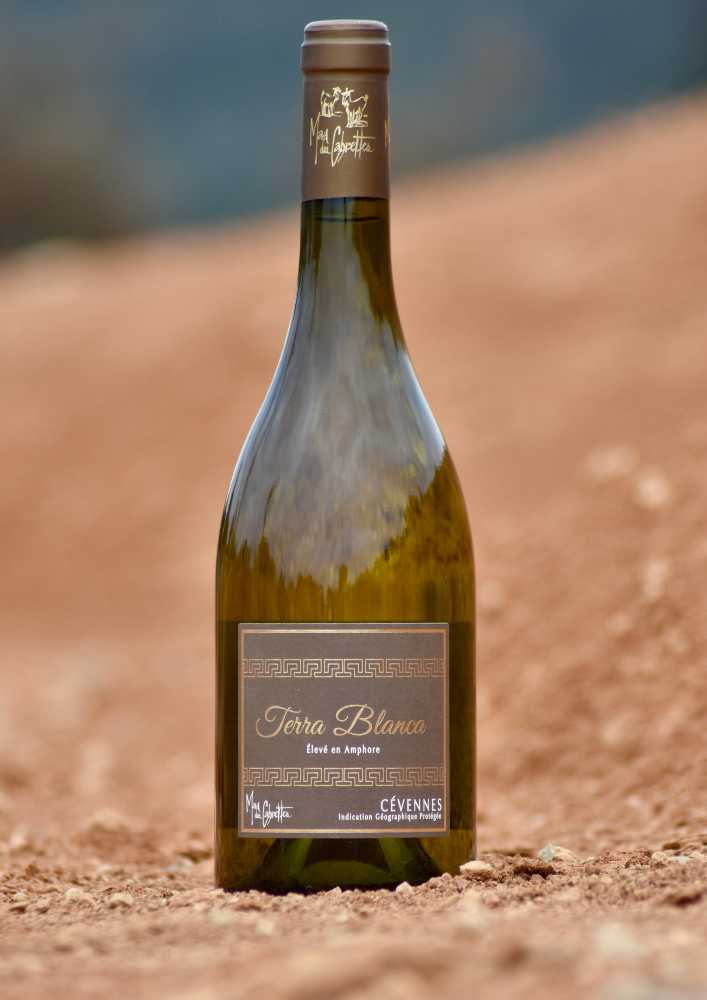 TERRA BLANCA