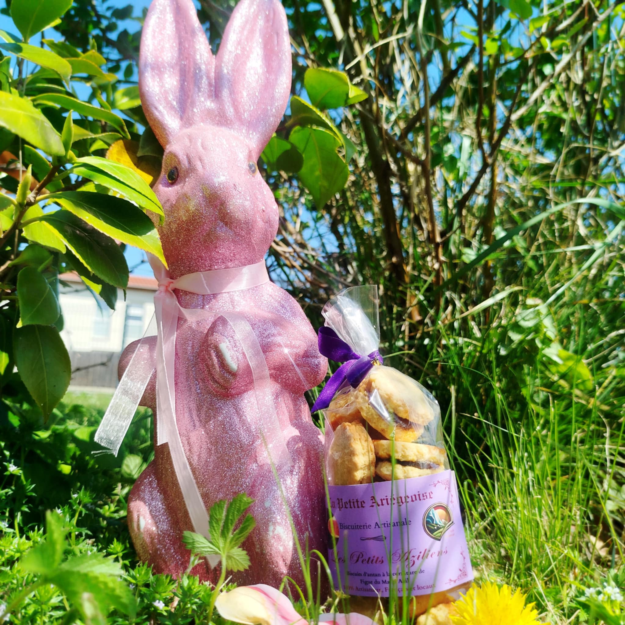 Les Petits Aziliens à la figue confite