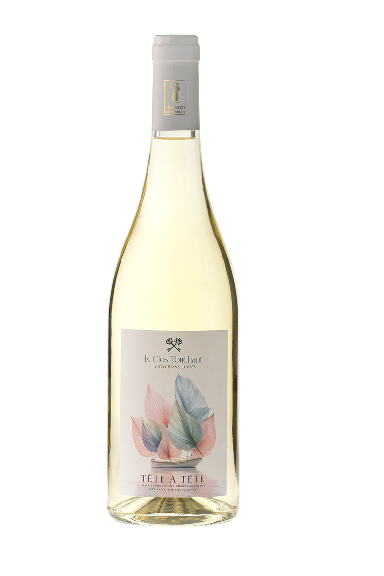 Tête à Tête Blanc