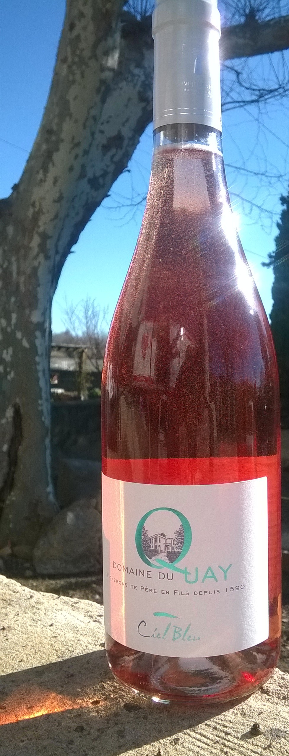 Ciel Bleu