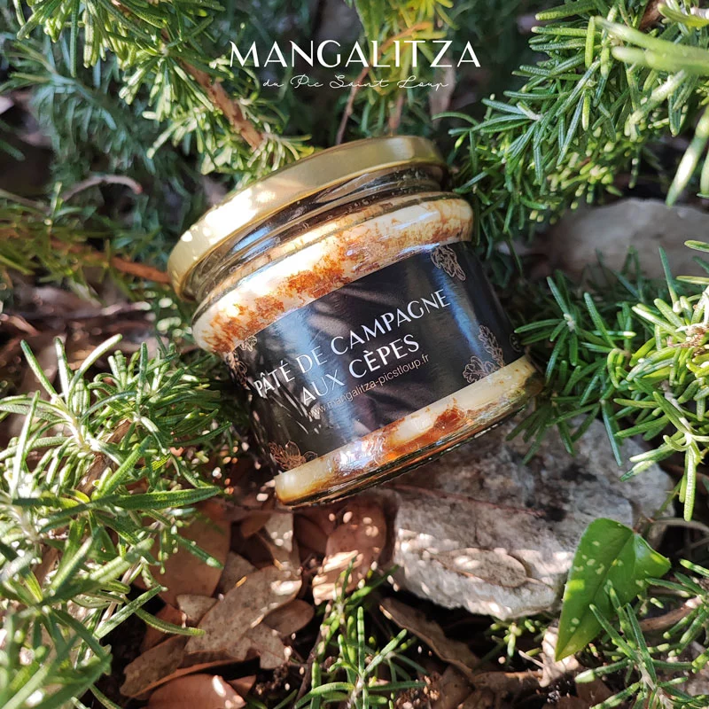 Pâté de campagne aux cèpes