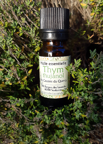 Huile essentielle de Thym thujanol