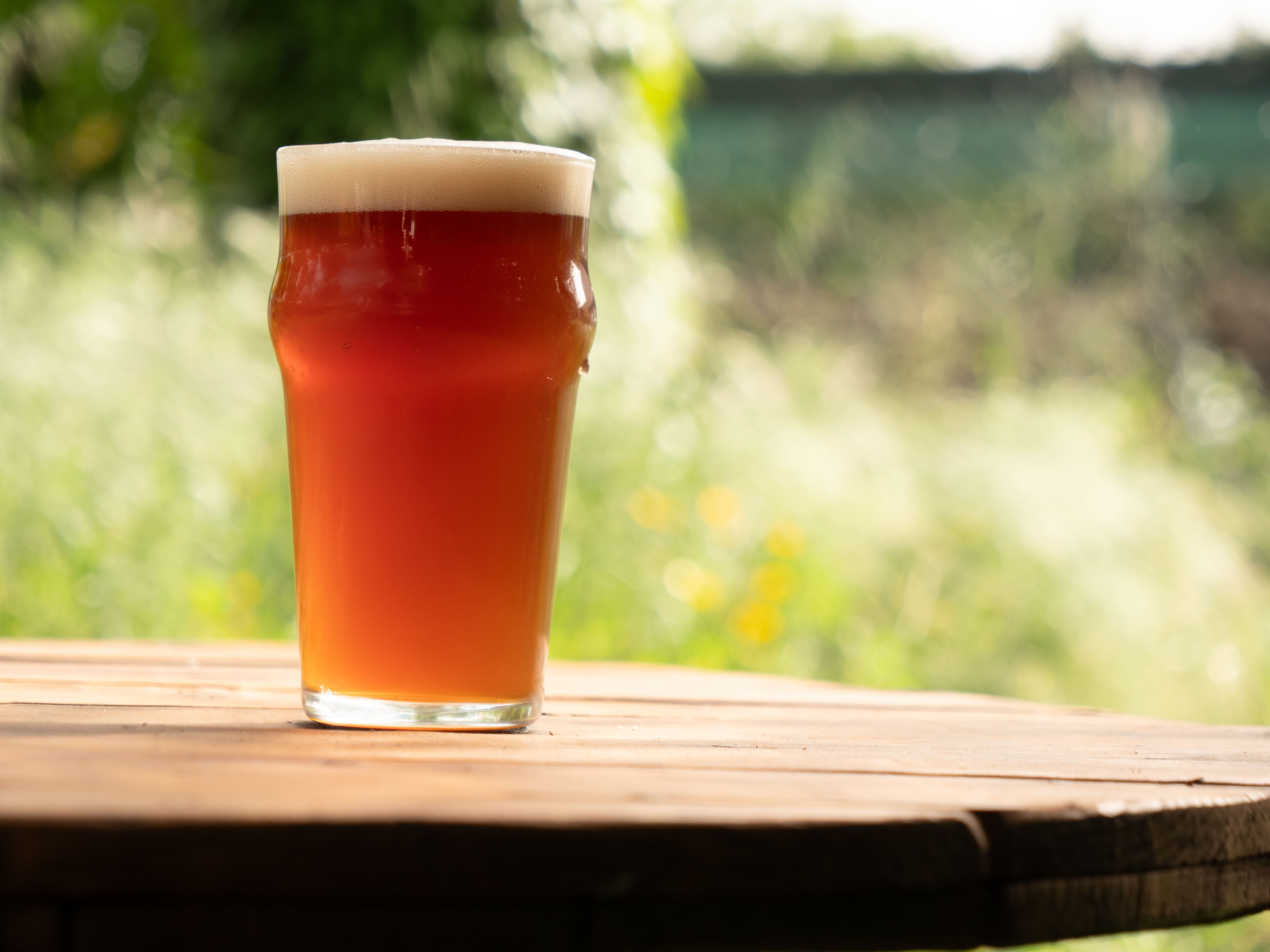 Gamate - Vienna Lager