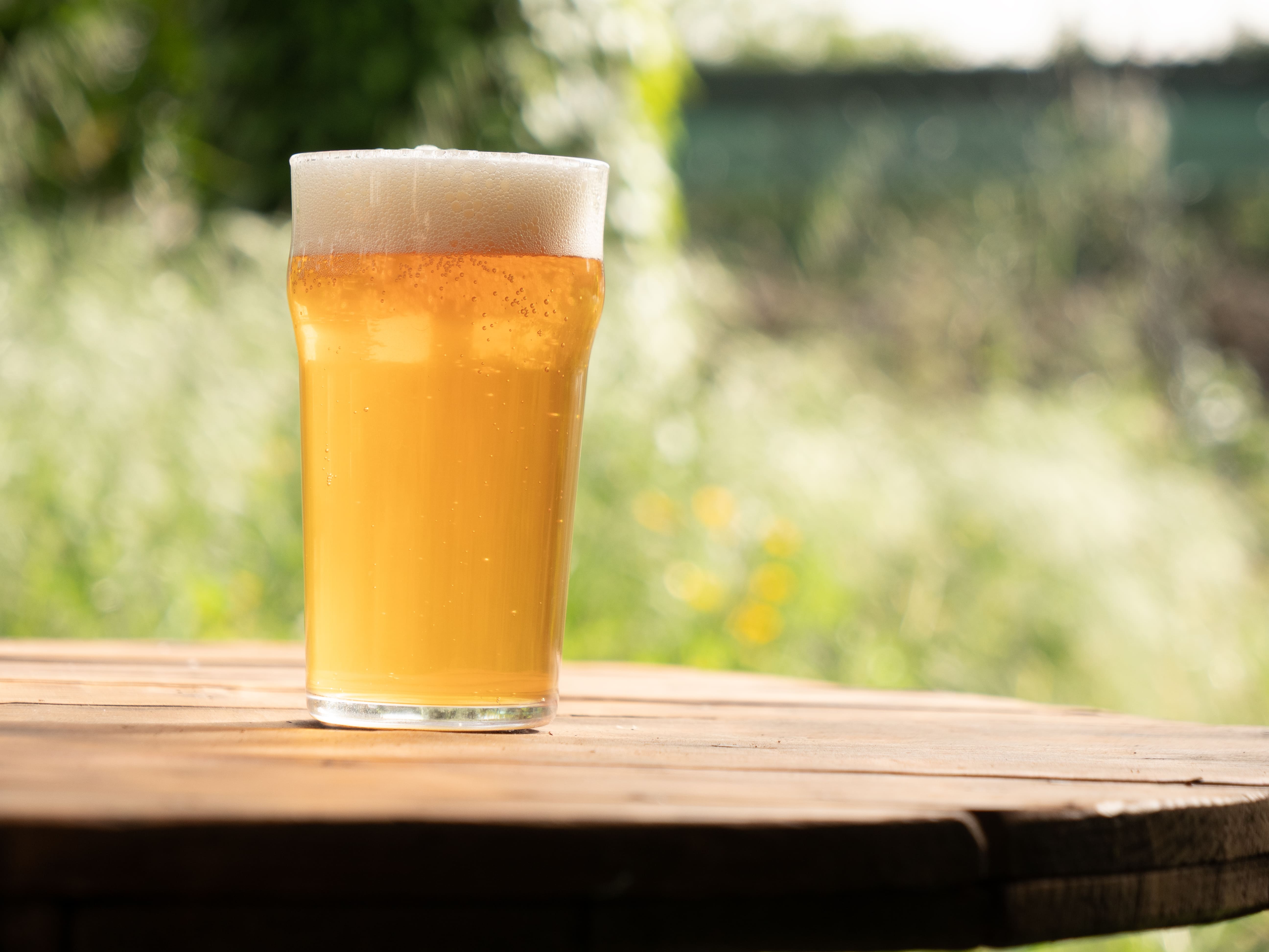 IPN - India Pale Ale