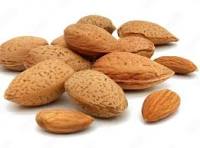 Amande sèche en coque