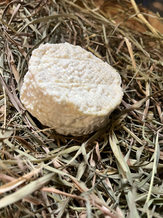 Crottin nature ou épices