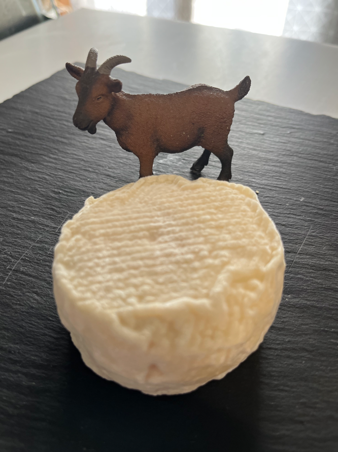 Crottin nature ou épices