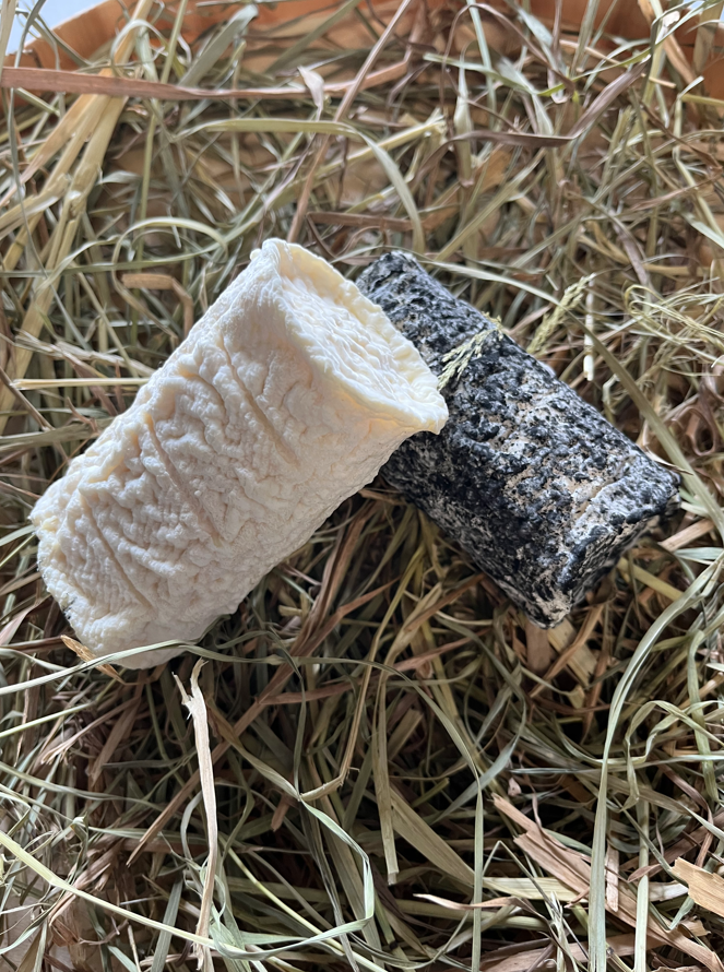 Buchette nature ou cendrée