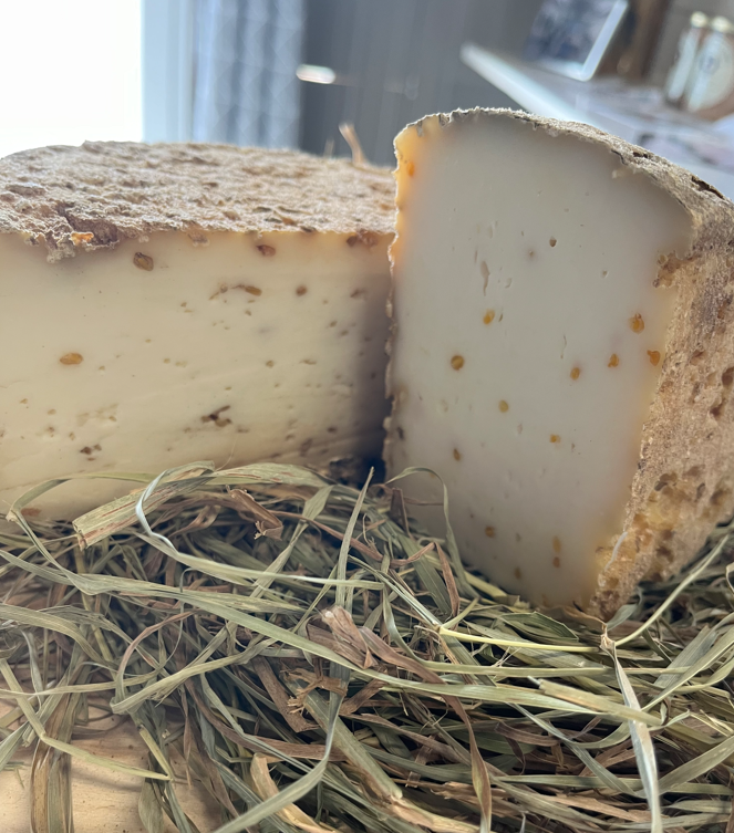 Tomme épices (Poivre, Cumin, Fenugrec, bruschetta)