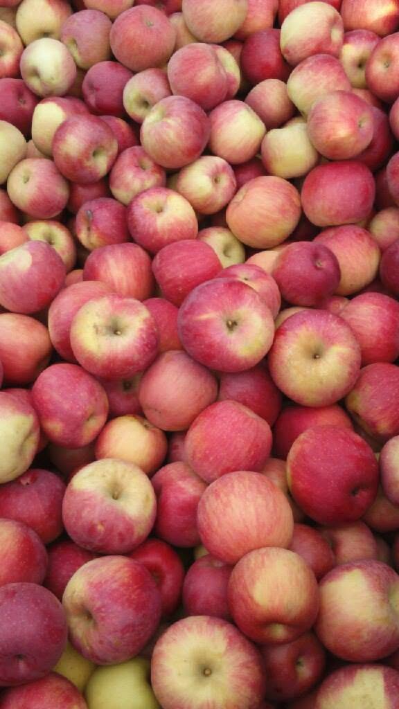 Pomme 