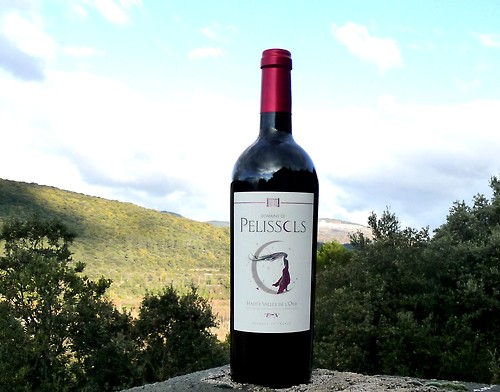 Domaine de Pélissols