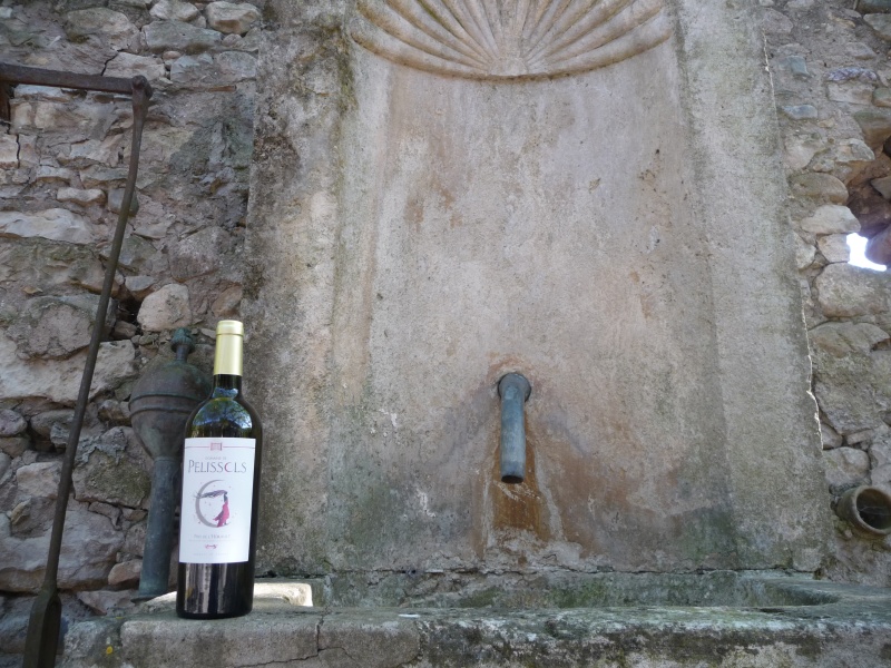 Domaine de Pélissols