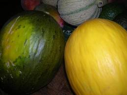 Melon jaune ou vert