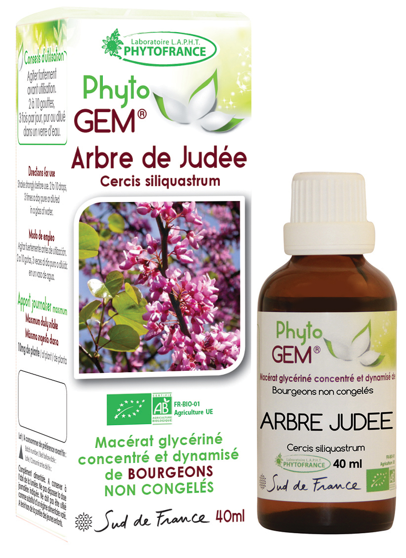 Phytogem Arbre de Judée