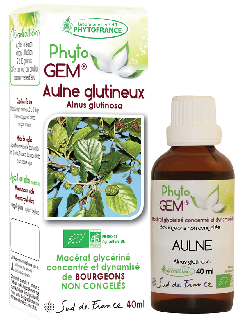 Phytogem Aulne