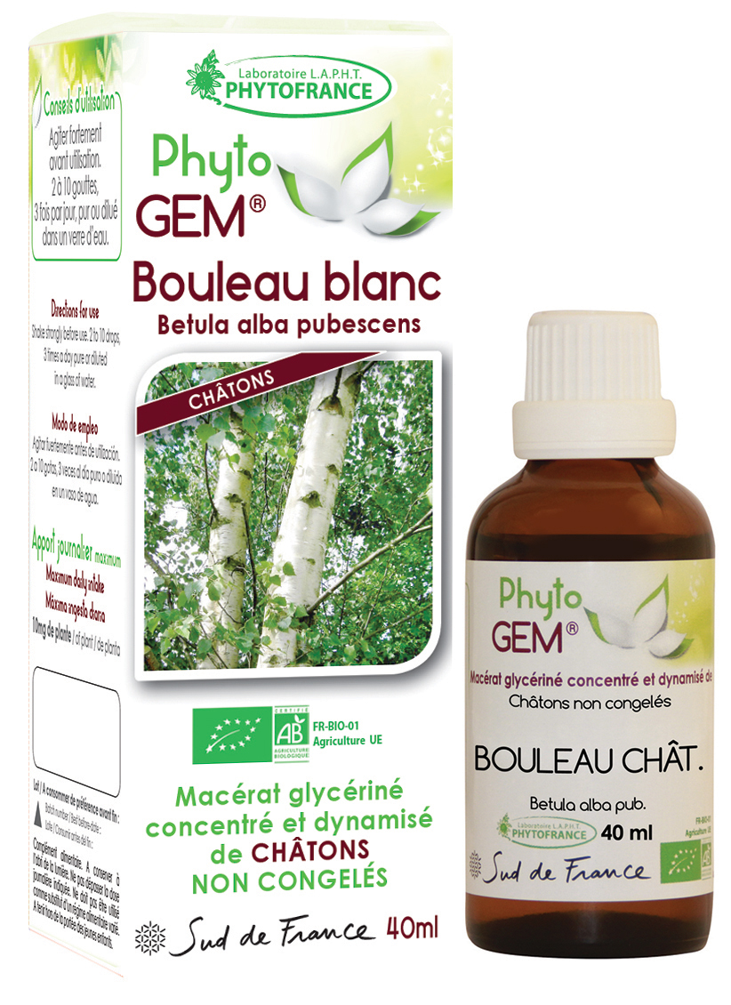 Phytogem Bouleau Blanc Châtons